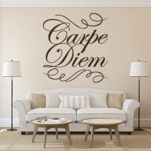 Vinilo Decorativo Carpe Diem