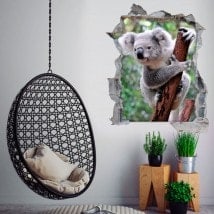 Vinilos 3D Koala