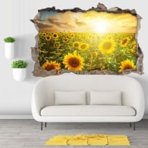 Vinilos agujero pared atardecer campo de girasoles 3d