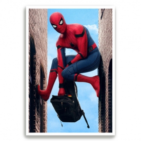 Pósters papel fotográfico spider-man