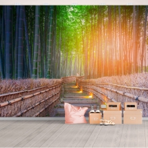 Papel pintado o fotomural camino bosque bambú atardecer