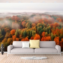 Papel pintado o fotomural paisaje bosque en otoño con neblina visto desde arriba