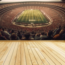 Papel pintado o fotomural estadio fútbol lleno vista de pájaro