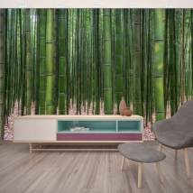 Fotomural o papel pintado bosque bambú zen verde decoración